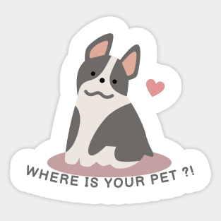Where's Your Pet ?! Don't Let Him Alone Sticker